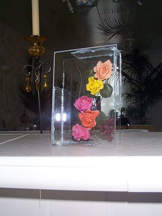 roses multicolores et violettes